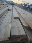 Mbao za Pine - Zilizokatwa Hivi Punde - 3