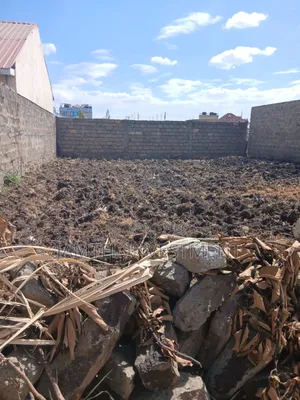 40x80 Plot for Sale in Juja Mastore