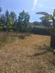 Ongata Rongai Acacia Prime Plot - 50x100 Red Soil - 1