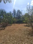 Ongata Rongai Acacia Prime Plot - 50x100 Red Soil - 2