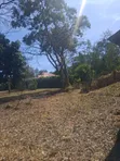 Ongata Rongai Acacia Prime Plot - 50x100 Red Soil - 3