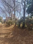 Ongata Rongai Acacia Prime Plot - 50x100 Red Soil - 5