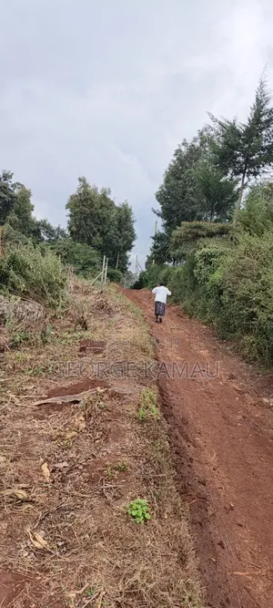 Kawangware Ardhi ya Biashara - 0.5 Eka