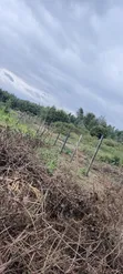 Kawangware Ardhi ya Biashara - 0.5 Eka - 2