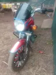 Bajaj Boxer 125 2024 Red - 5