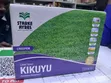 Mbegu za Majani ya Kikuyu Starke Ayres Sanduku la 500g - 1