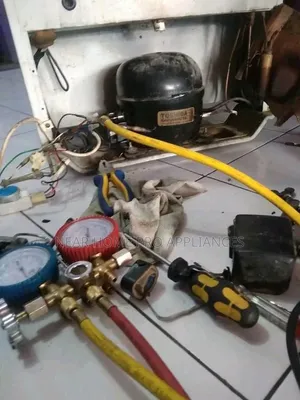 LG Fridge Repair Services in Limuru