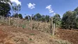 Kitalu Bora cha Kuuzwa - Kabete Kanyariri - 2