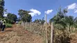 Kitalu Bora cha Kuuzwa - Kabete Kanyariri - 4