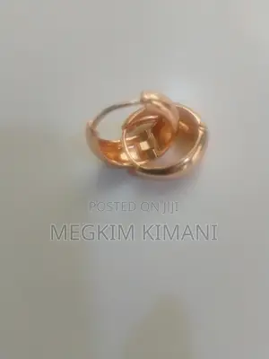 Fashion Jewelry Classic Earrings