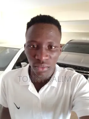 Mtafuta Kazi ya Usafi