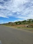 Ngong-Suswa Highway 1/4 Acre Plots for Sale - 2