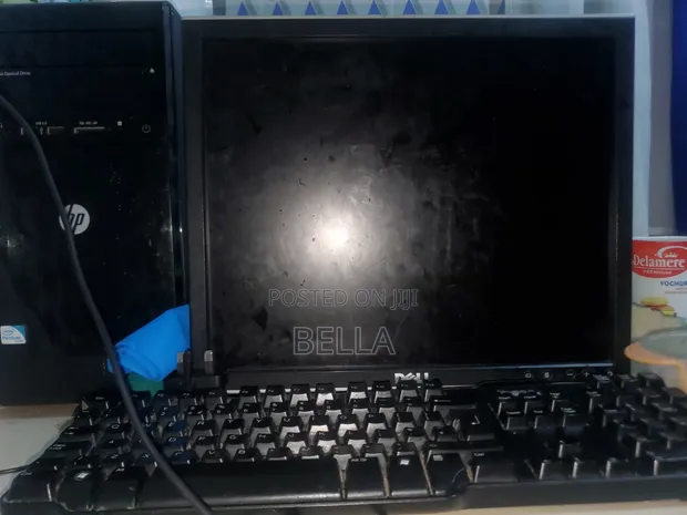 Dell Monitor - 1