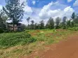 Viwanja vya Kifahari vya 1/8 Eka Vilivyohudumiwa kwa Uuzaji Ruiru, Oaklands - 3