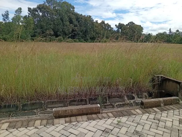 Prime ½ Acre Plots for Sale in Karen - 1