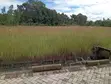 Prime ½ Acre Plots for Sale in Karen - 1