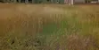 Prime ½ Acre Plots for Sale in Karen - 5