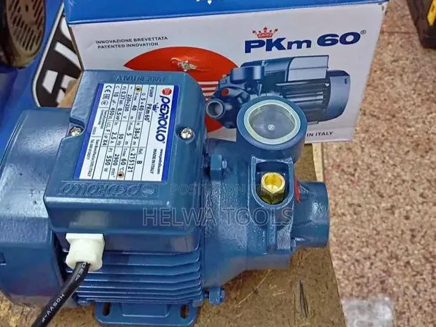 Pedrollo 0.5 HP Water Pump - 1