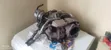 Mazda CX-5 Twin Turbo Diesel - 4