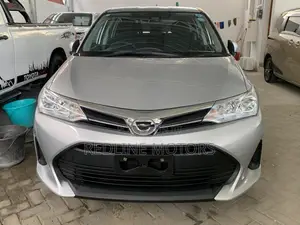 Toyota Corolla Fielder 1.5 Petrol AWD 2019 Silver