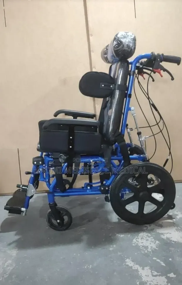 High Back Cerebral Palsy Wheelchair with Headrest & Safety Belt - 1