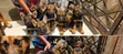 Female Mixed Breed German Shepherd Puppy (1-3 Months) - 3