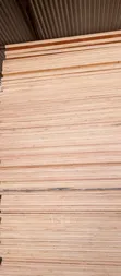 15mm Plywood - New - 1