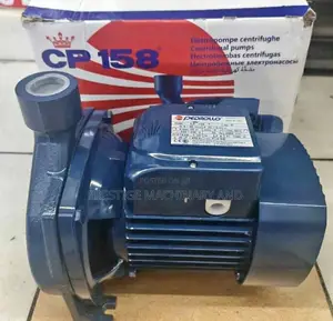 Pedrollo Water Pump 1hp Heavy Duty