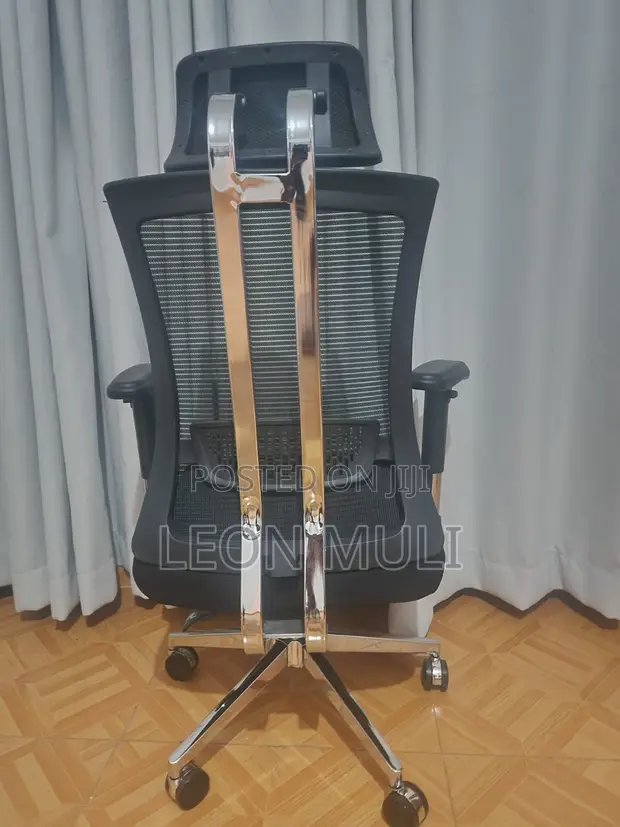 Orthopedic Chair for Sale - 1