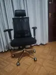 Orthopedic Chair for Sale - 3