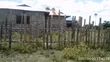 50x100 Plot with 2-Bedroom House in Murindat - 1