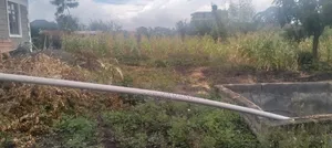 Kiwanja cha 100x100 Kinauzwa Njiku Banana