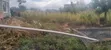 100x100 Plot for Sale in Njiku Banana - 1