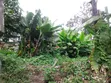 100x100 Plot for Sale in Njiku Banana - 3