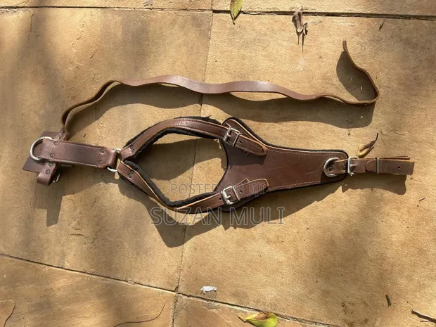 Morin Dog Harness - Brown - 1