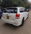 Toyota Corolla Fielder 2014 Hybrid Nyeupe - 3