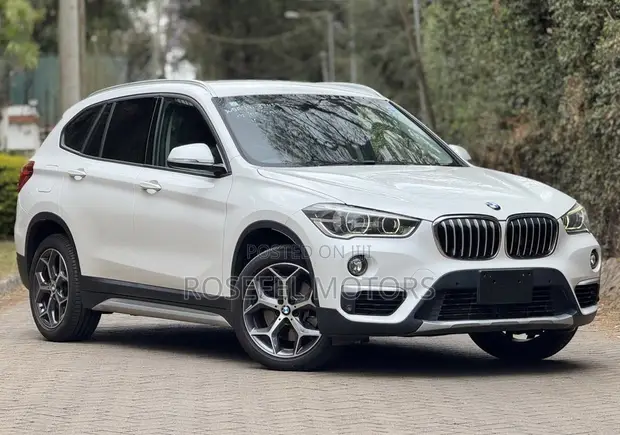 BMW X1 xDrive20i 2019 Nyeupe - 1