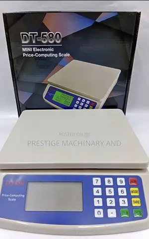 DT 580 Digital Weighing Scale - 30kg Portable