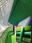 Artificial Grass Carpet 10mm Nene - 1