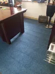 Allergy-Free Office & Home Wall-to-Wall Carpets - 1