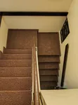 Allergy-Free Office & Home Wall-to-Wall Carpets - 2