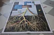 Carpeti za Kisasa za HD 5x8 ft Ubora wa Kifahari - 1