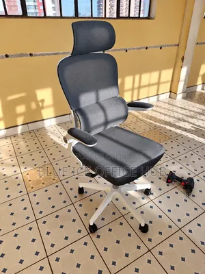 Ergonomic High Back Office Chair with Headrest