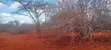 Eneo la Eka 100 Kalambani C, Kitui South - Mauzo ya Dharura - 4
