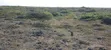 Land for Sale in Uyombo, Matsangoni - 2