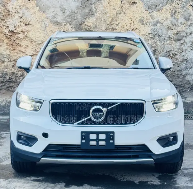 Volvo XC40 T4 Momentum 2019 - 1