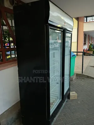 Samsung Fridge Repair and Service