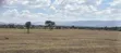Nakuru Mutaita 50x100 Plots for Sale - 2