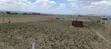 Nakuru Mutaita 50x100 Plots for Sale - 3