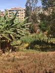 Kiambu Town Commercial Plot 50x100 with Ready Title - 2